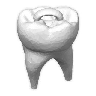 ميدالية سن ( 5 قطع ) - طباعة ثلاثية الأبعاد